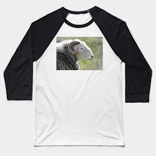 Herdwick Ram Baseball T-Shirt